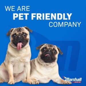 Marshall Trans Pet friendly company